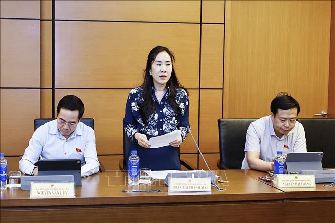 Đại biểu Quốc hội tỉnh Hưng Yên Đoàn Thị Thanh Mai phát biểu. Ảnh: Doãn Tấn - TTXVN