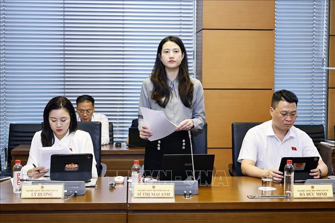 Đại biểu Quốc hội tỉnh Lào Cai Sí Thị Mai Anh phát biểu. Ảnh: Doãn Tấn - TTXVN