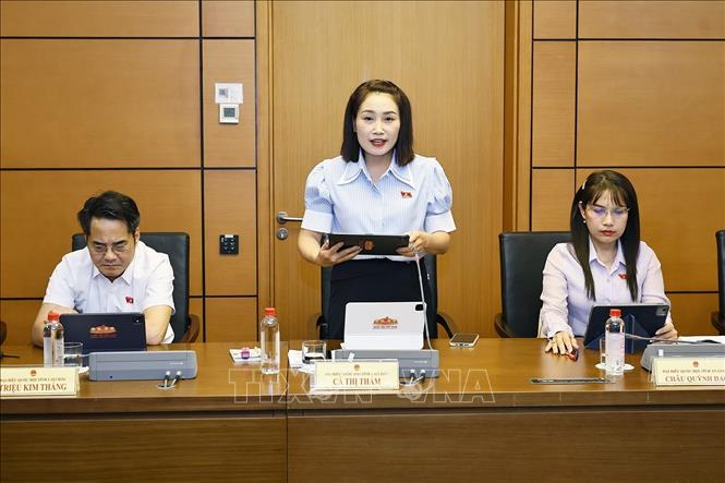 Đại biểu Quốc hội tỉnh Lai Châu Cà Thị Thắm phát biểu. Ảnh: Doãn Tấn - TTXVN