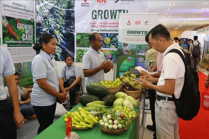  Khách hàng tìm hiểu sản phẩm nông nghiệp được trưng bày tại sự kiện. Ảnh: Minh Hưng - PV TTXVN tại Campuchia