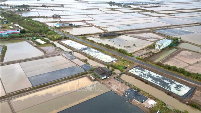 Nghề làm muối trên địa bàn tỉnh Cà Mau có lịch sử hình thành và phát triển hơn một thế kỷ, gắn bó sâu sắc với đời sống và sinh kế của bao thế hệ diêm dân vùng ven biển. Ảnh: Chanh Đa-TTXVN