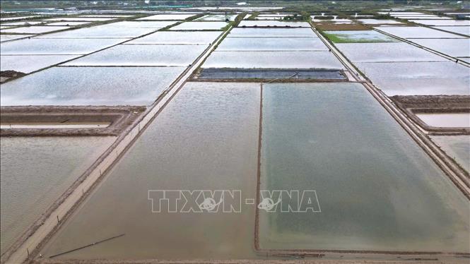 Cánh đồng muối xã Đông Hải (tỉnh Cà Mau) nhìn từ trên cao. Ảnh: Chanh Đa-TTXVN
