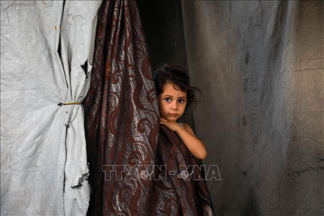 Em nhỏ Palestine tại trại tị nạn Jabalia, Dải Gaza. Ảnh: THX/TTXVN phát