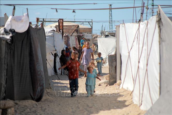 Các em nhỏ Palestine tại trại tị nạn Jabalia, Dải Gaza. Ảnh: THX/TTXVN phát