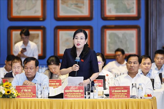 Chủ nhiệm Ủy ban Khoa học, Công nghệ và Môi trường của Quốc hội Nguyễn Thanh Hải phát biểu tại cuộc làm việc với Lãnh đạo tỉnh An Giang. Ảnh: Doãn Tấn - TTXVN