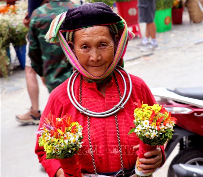 Cụ bà người Mông với vẻ đẹp mộc mạc, đậm nét văn hóa vùng cao, giới thiệu những bó hoa tam giác mạch đến du khách. Ảnh: Đức Thọ - TTXVN