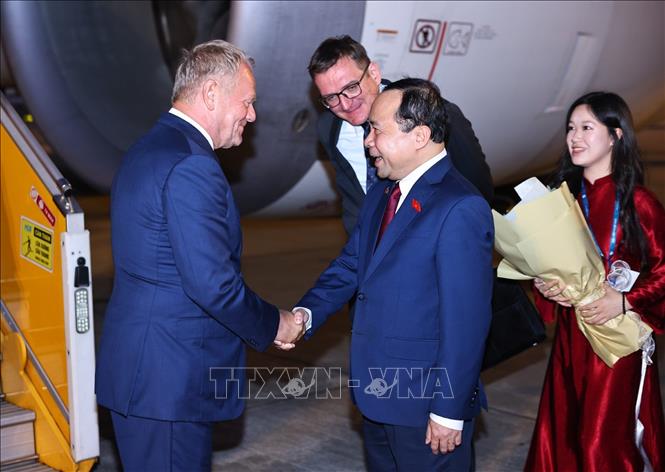 Bộ trưởng Bộ Khoa học và Công nghệ Vũ Hải Quân đón Thủ tướng Cộng hòa Ba Lan Donald Tusk tại sân bay Quốc tế Nội Bài (Hà Nội). Ảnh: Minh Đức – TTXVN

