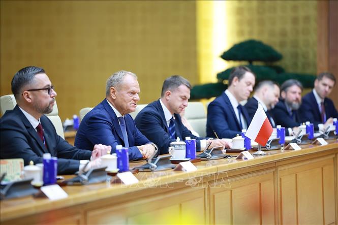 Thủ tướng Cộng hòa Ba Lan Donald Tusk phát biểu tại cuộc hội đàm. Ảnh: Dương Giang – TTXVN 
