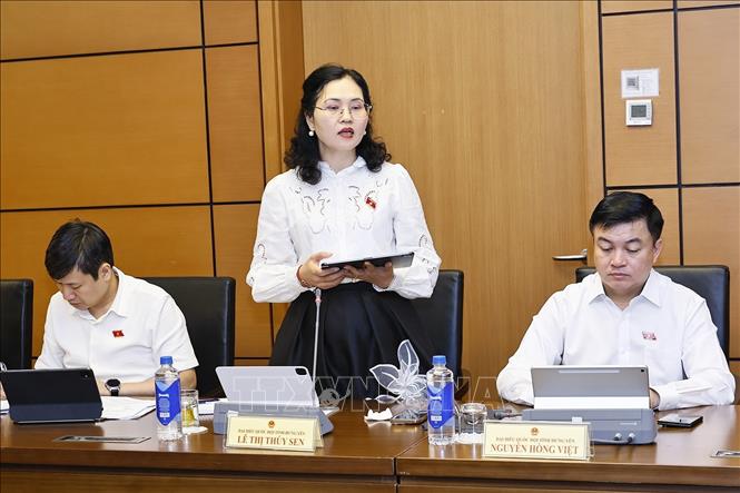 Đại biểu Quốc hội tỉnh Hưng Yên Lê Thị Thuý Sen phát biểu. Ảnh: Doãn Tấn - TTXVN