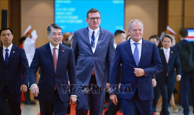 Thủ tướng Lê Minh Hưng và Thủ tướng Cộng hòa Ba Lan Donald Tusk. Ảnh: Dương Giang – TTXVN 