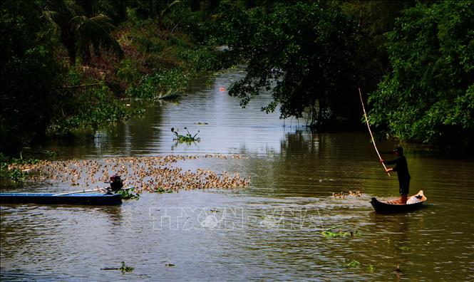 Việc bảo vệ hành lang sông, kênh rạch, hạn chế ô nhiễm nguồn nước và bảo tồn những không gian có khả năng trữ nước tự nhiên cũng cần được quan tâm. Ảnh: Duy Khương – TTXVN