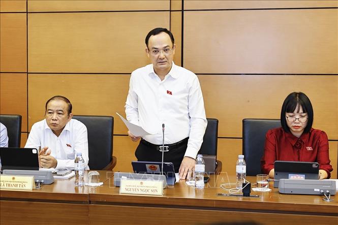 Đại biểu Quốc hội TP Hải Phòng Nguyễn Ngọc Sơn phát biểu. Ảnh: Doãn Tấn - TTXVN