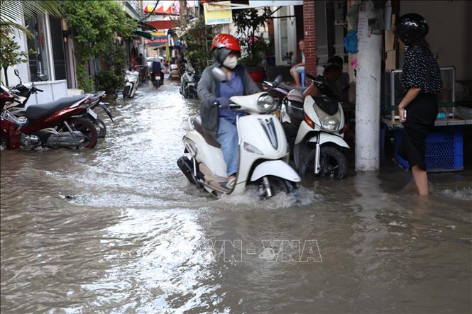 Nhiều con hẻm khu vực phía Nam TP. Hồ Chí Minh bị ngập sâu do triều cường lên cao chiều 26/10. Ảnh: Hồng Đạt - TTXVN