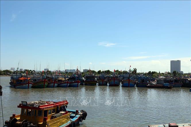 Tàu cá neo đậu trước cảng INCOMAP (phường Vũng Tàu). Ảnh: Đoàn Mạnh Dương -TTXVN