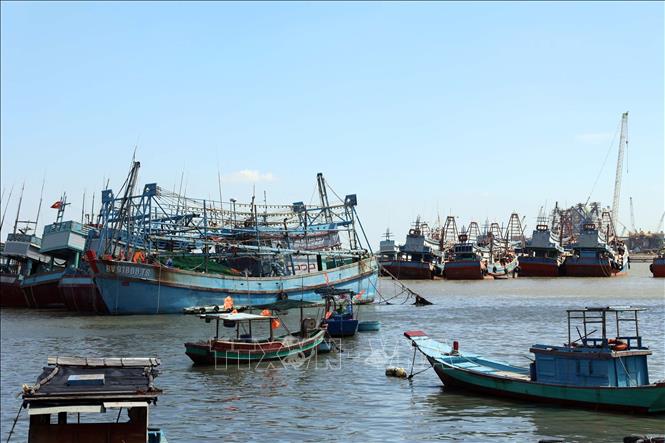 Một số tàu cá (đánh dấu đỏ dưới số hiệu tàu) không đủ điều kiện ra khơi neo đậu trên sông Bến Đình (phường Vũng Tàu) được Biên phòng quản lý chặt chẽ. Anh: Đoàn Mạnh Dương -TTXVN