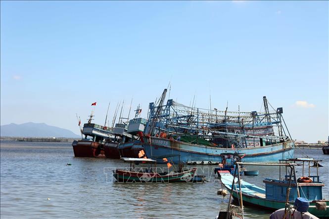 Tàu cá (màu xanh, đánh dấu đỏ dưới số hiệu tàu) không đủ điều kiện ra khơi neo đậu trên sông Bến Đình (phường Vũng Tàu) được Biên phòng quản lý chặt chẽ. Ảnh: Đoàn Mạnh Dương -TTXVN