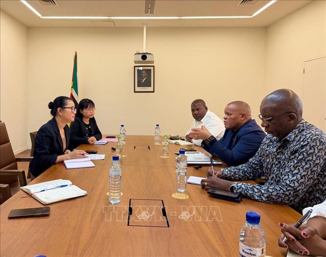 Đại sứ Việt Nam tại Mozambique Trần Thị Thu Thìn và Bộ trưởng Nông nghiệp, Môi trường và Thủy sản Mozambique Roberto Mito Albino cùng các đại biểu trao đổi các biện pháp thúc đẩy hợp tác nông nghiệp song phương. Ảnh: TTXVN phát