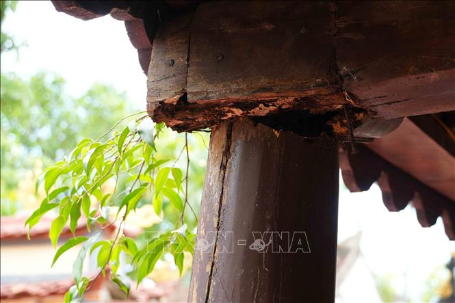 Qua nhiều năm tồn tại, đình Đỉnh Lự đang cần được kiểm tra, đánh giá tổng thể để có phương án bảo tồn phù hợp. Ảnh: Hữu Quyết – TTXVN