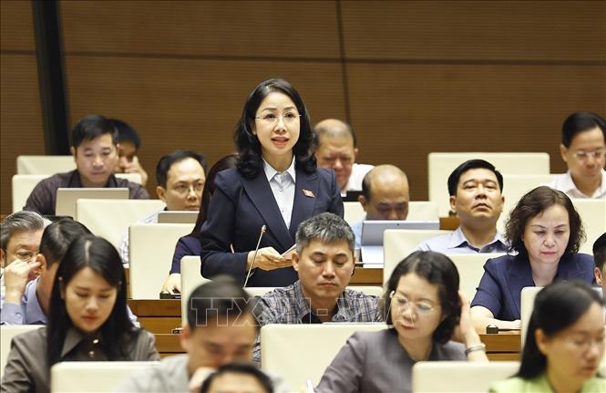 Đại biểu Quốc hội tỉnh Thanh Hoá Phan Thị Thùy Linh phát biểu. Ảnh: Doãn Tấn - TTXVN