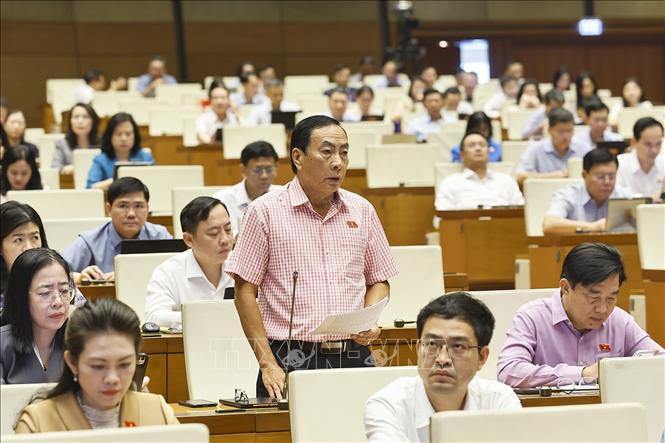 Đại biểu Quốc hội tỉnh Đồng Tháp Phạm Văn Hòa phát biểu. Ảnh: Doãn Tấn - TTXVN