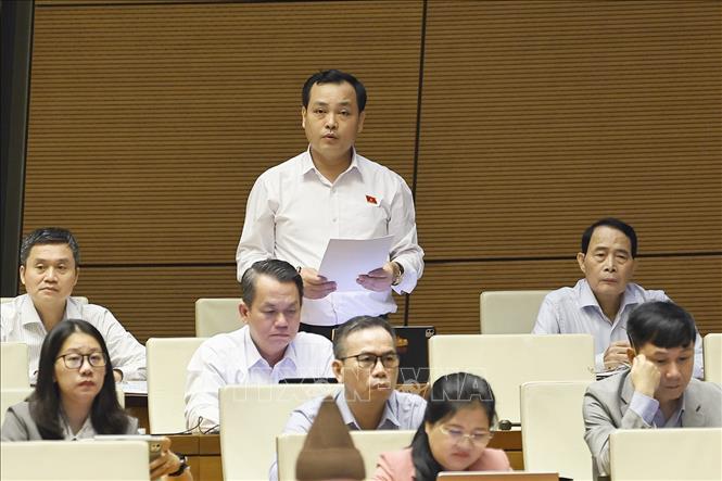 Đại biểu Quốc hội Thành phố Hồ Chí Minh Lê Văn Đông phát biểu. Ảnh: Doãn Tấn - TTXVN