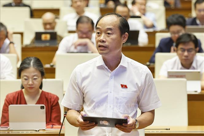 Đại biểu Quốc hội tỉnh Khánh Hòa Bùi Mạnh Cường phát biểu. Ảnh: Doãn Tấn - TTXVN