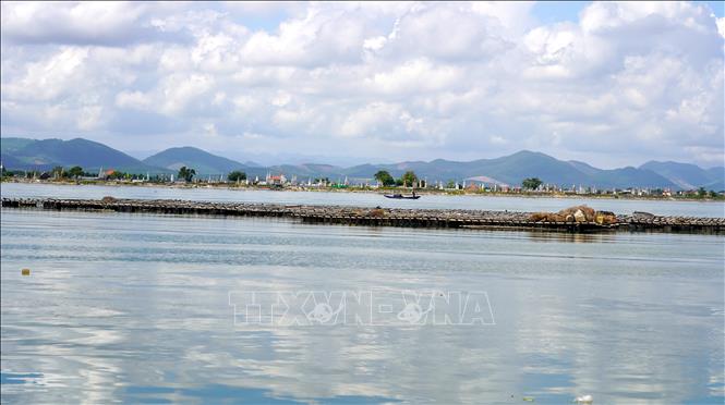 Theo UBND phường Bắc Gianh, trên địa bàn hiện có khoảng 5 ha diện tích mặt nước nuôi hàu đại dương. Ảnh: Thanh Thuỷ - TTXVN                               