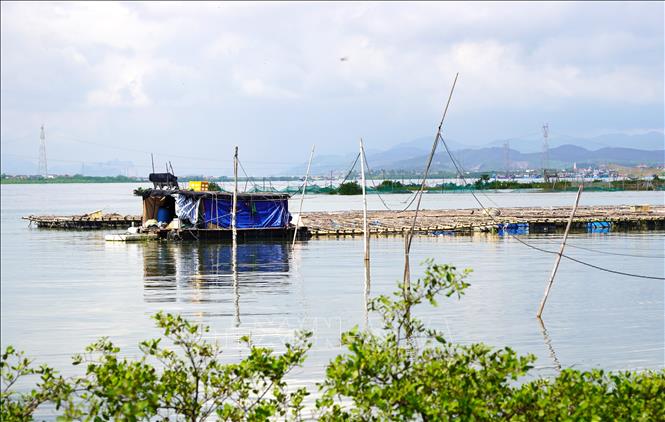 Với triển vọng phát triển theo hướng bền vững, mô hình này không chỉ mang đến sinh kế mới cho cư dân ven sông mà còn kỳ vọng tạo động lực thúc đẩy kinh tế địa phương. Ảnh: Thanh Thuỷ - TTXVN                               