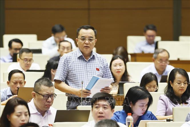 Đại biểu Quốc hội tỉnh Lâm Đồng Huỳnh Ngọc Liêm phát biểu. Ảnh: Doãn Tấn - TTXVN