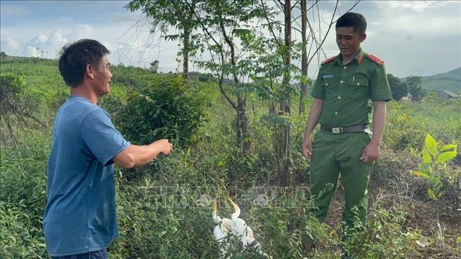 Lực lượng chức năng tuyên truyền nâng cao nhận thức của người dân về hành vi săn bắt chim hoang dã. Ảnh: TTXVN phát 