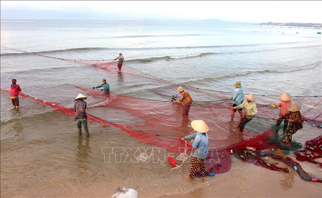 Ngư dân kéo lưới rùng tại vùng biển Mũi Né, tỉnh Lâm Đồng. Ảnh: Hồng Hiếu - TTXVN