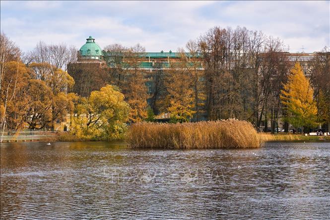 Bức tranh mùa thu vàng tại vườn Tauride ở St. Petersburg, Nga ngày 27/10/2026. Ảnh: THX/TTXVN phát