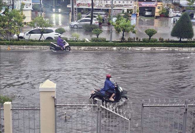 Nhiều tuyến đường tại khu vực đô thị phường Tân Thành (Cà Mau) bị ngập do mưa lớn kết hợp triều cường. Ảnh: Trung Hiếu - TTXVN