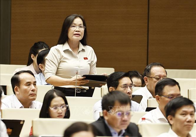 Đại biểu Quốc hội Thành phố Hồ Chí Minh Nguyễn Thị Hồng Hạnh phát biểu. Ảnh: Doãn Tấn - TTXVN