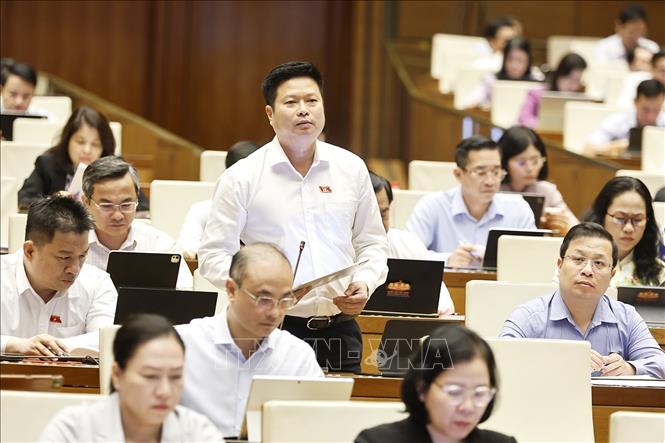 Đại biểu Quốc hội tỉnh An Giang Trương Hồ Hải phát biểu. Ảnh: Doãn Tấn - TTXVN