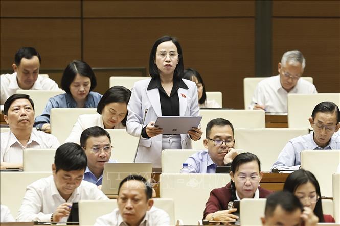 Đại biểu Quốc hội Thành phố Hồ Chí Minh Võ Ngọc Thanh Trúc phát biểu. Ảnh: Doãn Tấn - TTXVN