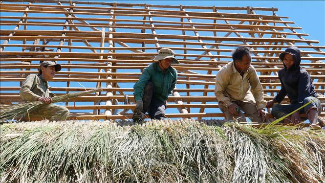 Bà con thôn Chung Năng, xã Đăk Pék, tỉnh Quảng Ngãi chung sức làm Nhà rông mới. Ảnh: Dư Toán - TTXVN