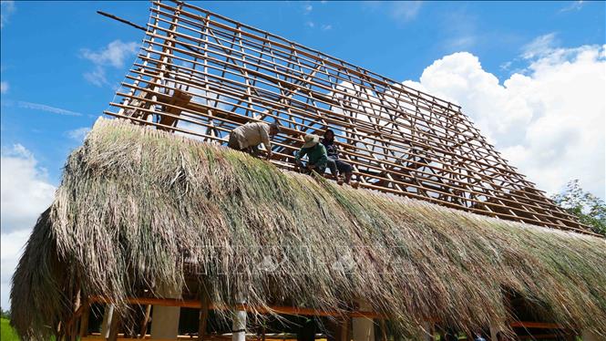 Người dân thôn Chung Năng, xã Đăk Pék, tỉnh Quảng Ngãi chung sức làm Nhà rông mới. Ảnh: Dư Toán - TTXVN