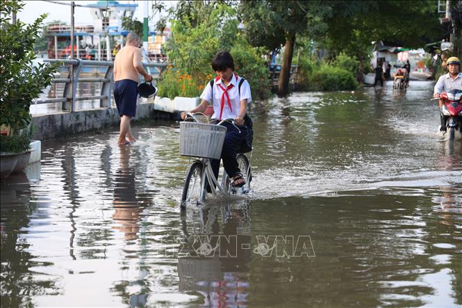 Em Huỳnh Thị Yến Vy, trường THCS Phú Lợi, phường Bình Đông, đi học về qua tuyến đường ngập Rạch Cùng, chiều 28/10. Ảnh: Hồng Đạt - TTXVN