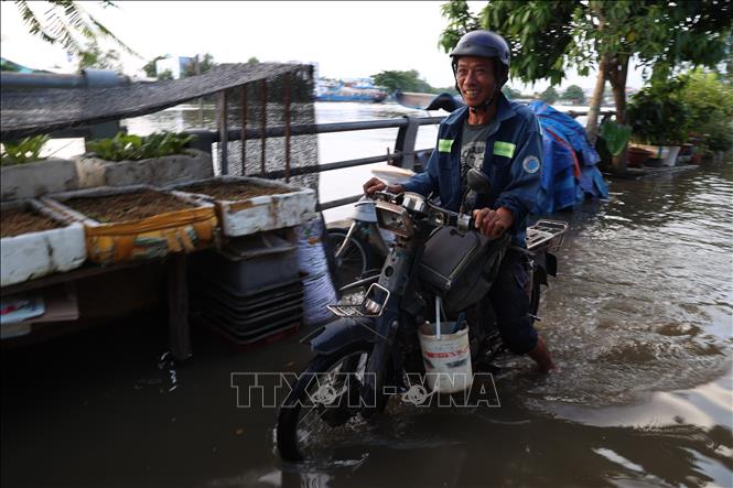 Anh Nguyễn Trí Thức, con trai ông Dũng đi làm về lúc 17 giờ 30 phút chiều 28/10 phải tắt máy từ đầu đường, gắng sức đẩy xe trên đường ngập sâu. Ảnh: Hồng Đạt - TTXVN