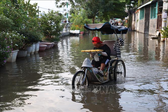Người dân Rạch Cùng, phường Bình Đông, phải sống chung với nước khi triều cường lên cao. Ảnh: Hồng Đạt - TTXVN