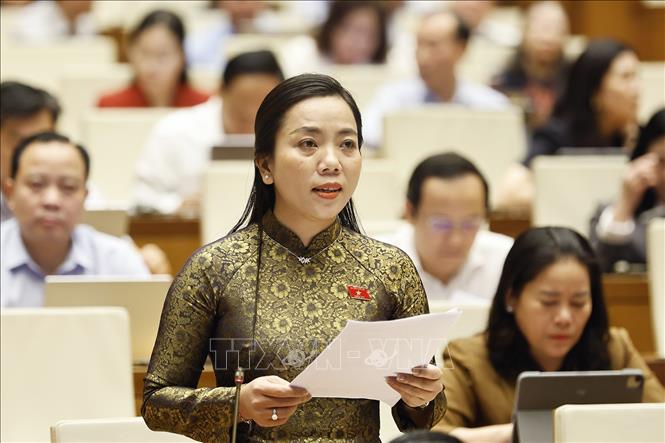 Đại biểu Quốc hội TP Cần Thơ Triệu Thị Ngọc Diễm phát biểu. Ảnh: Doãn Tấn - TTXVN