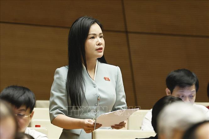 Đại biểu Quốc hội tỉnh Hưng Yên Nguyễn Thị Thanh Bình phát biểu. Ảnh: Doãn Tấn - TTXVN
