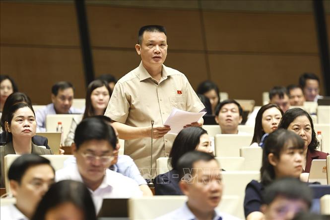 Đại biểu Quốc hội tỉnh Tuyên Quang Hoàng Ngoc Định phát biểu. Ảnh: Doãn Tấn - TTXVN