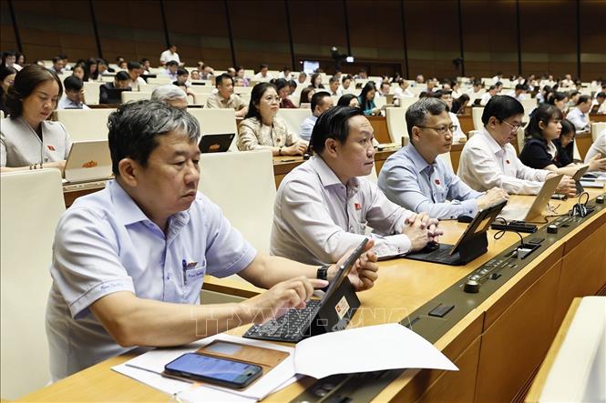 Đoàn đại biểu Quốc hội TP Đồng Nai dự phiên họp. Ảnh: Doãn Tấn - TTXVN