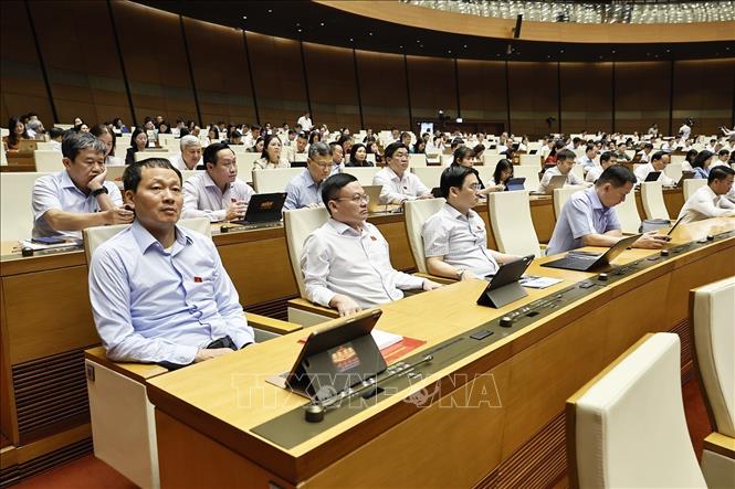 Đoàn đại biểu Quốc hội TP Đồng Nai dự phiên họp. Ảnh: Doãn Tấn - TTXVN