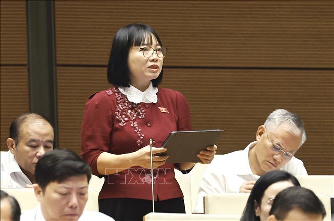 Đại biểu Quốc hội TP Hải Phòng Nguyễn Thị Việt Nga phát biểu. Ảnh: Doãn Tấn - TTXVN
