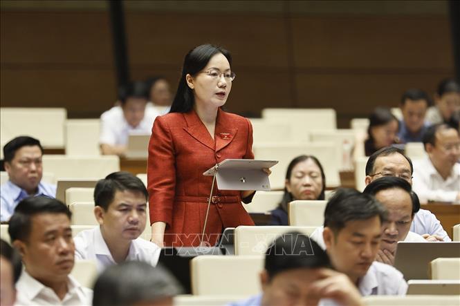 Đại biểu Quốc hội TP Bắc Ninh Đỗ Thị Việt Hà phát biểu. Ảnh: Doãn Tấn - TTXVN
