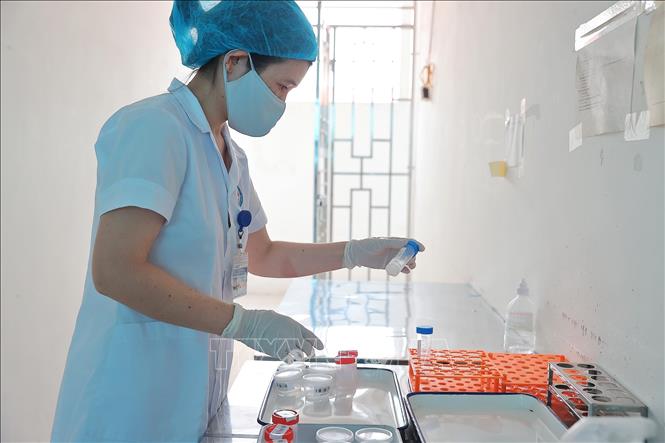 Mẫu được chuyển về xét nghiệm tại bệnh viện Phổi Hải Dương. Ảnh: Minh Quyết – TTXVN