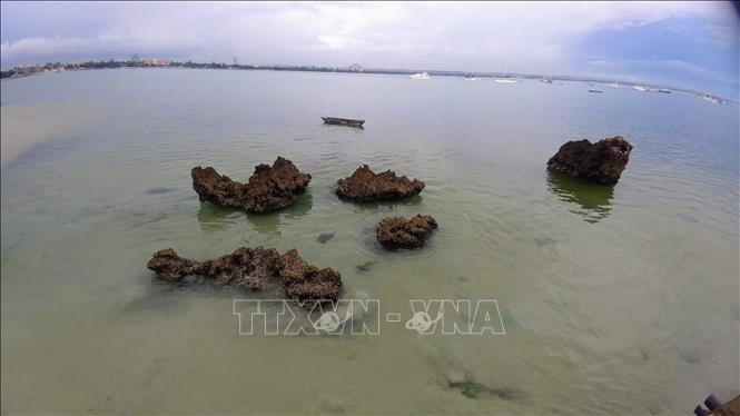Rạn san hô chết trên đảo Zanzibar (Tanzania), Ấn Độ Dương. Ảnh tư liệu: Phi Hùng - PV TTXVN